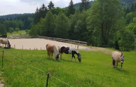 Kjelli´s Reiterhof, © Kjelli´s Reiterhof Kjelli´s Reiterhof, © Kjelli´s Reiterhof