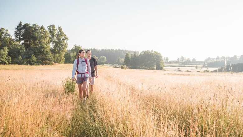 Wandern in Moorbad Harbach, © Studio Ideenladen Wandern in Moorbad Harbach, © Studio Ideenladen