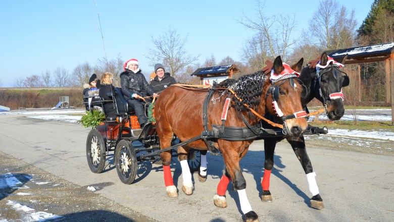 Weihnachtliche Kutschenfahrt, © RMH Eine weihnachtlich geschmückte Pferdekutsche mit Menschen in Winterkleidung auf einer Straße.