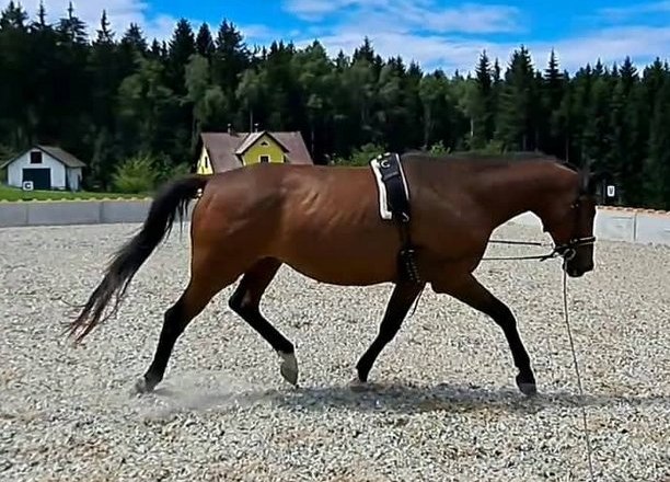 © Birgit Libal © Birgit Libal