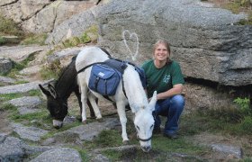 Gasthaus & Ponyhof Holzmühle, © Birgit Taxböck Gasthaus & Ponyhof Holzmühle, © Birgit Taxböck