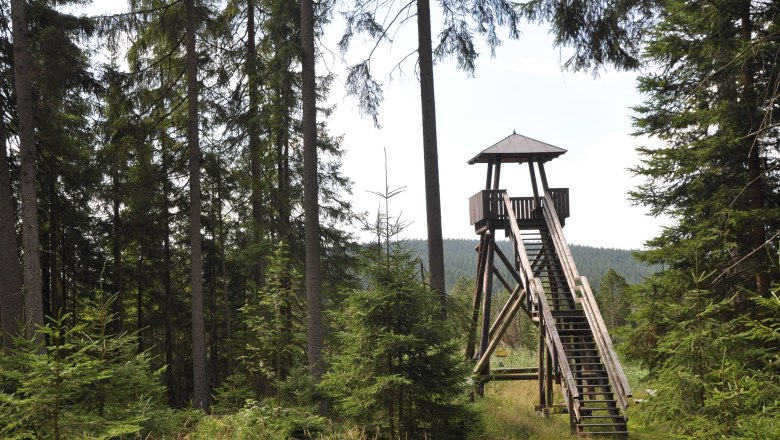 Aussichtsturm Hochmoor Große Haide, © Reinhard Nieder Aussichtsturm Hochmoor Große Haide, © Reinhard Nieder
