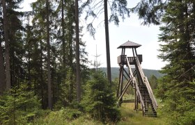 Aussichtsturm Hochmoor Große Haide, © Reinhard Nieder Aussichtsturm Hochmoor Große Haide, © Reinhard Nieder