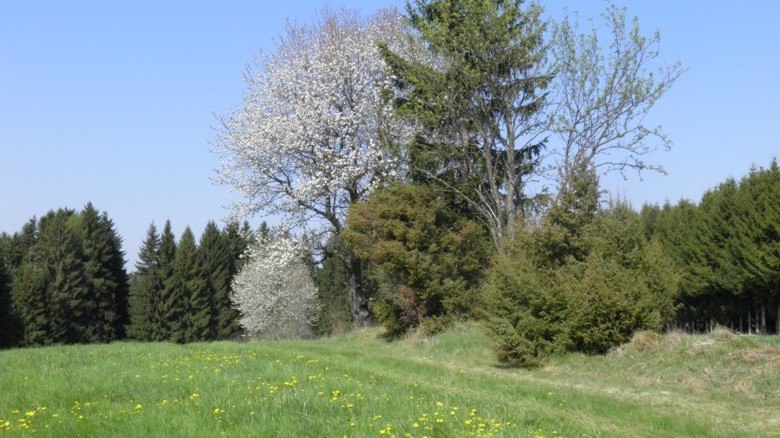 familienurlaub_am_bio-bauernhof04cpeter_hoebarth_3, © Peter Höbarth familienurlaub_am_bio-bauernhof04cpeter_hoebarth_3, © Peter Höbarth