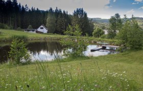 Badeteich & Hausansicht, © Chalet-Nordwald, Fotograf Angela Hauler Badeteich & Hausansicht, © Chalet-Nordwald, Fotograf Angela Hauler