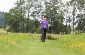 Xundwärts-Routen Moorbad Harbach-Gelb 2, © Xundheitswelt Xundwärts-Routen Moorbad Harbach-Gelb 2, © Xundheitswelt