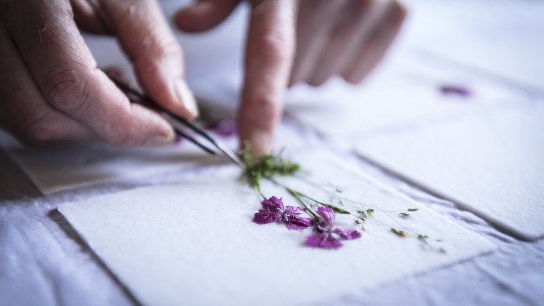 Nahaufnahme von H&auml;nden, die mit einer Pinzette Blumen auf Papier platzieren.