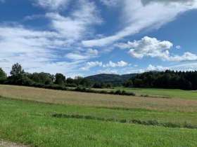 Mein Weg zum Gl&uuml;ck, &copy; TOURISMUSVEREIN MOORBAD HARBACH