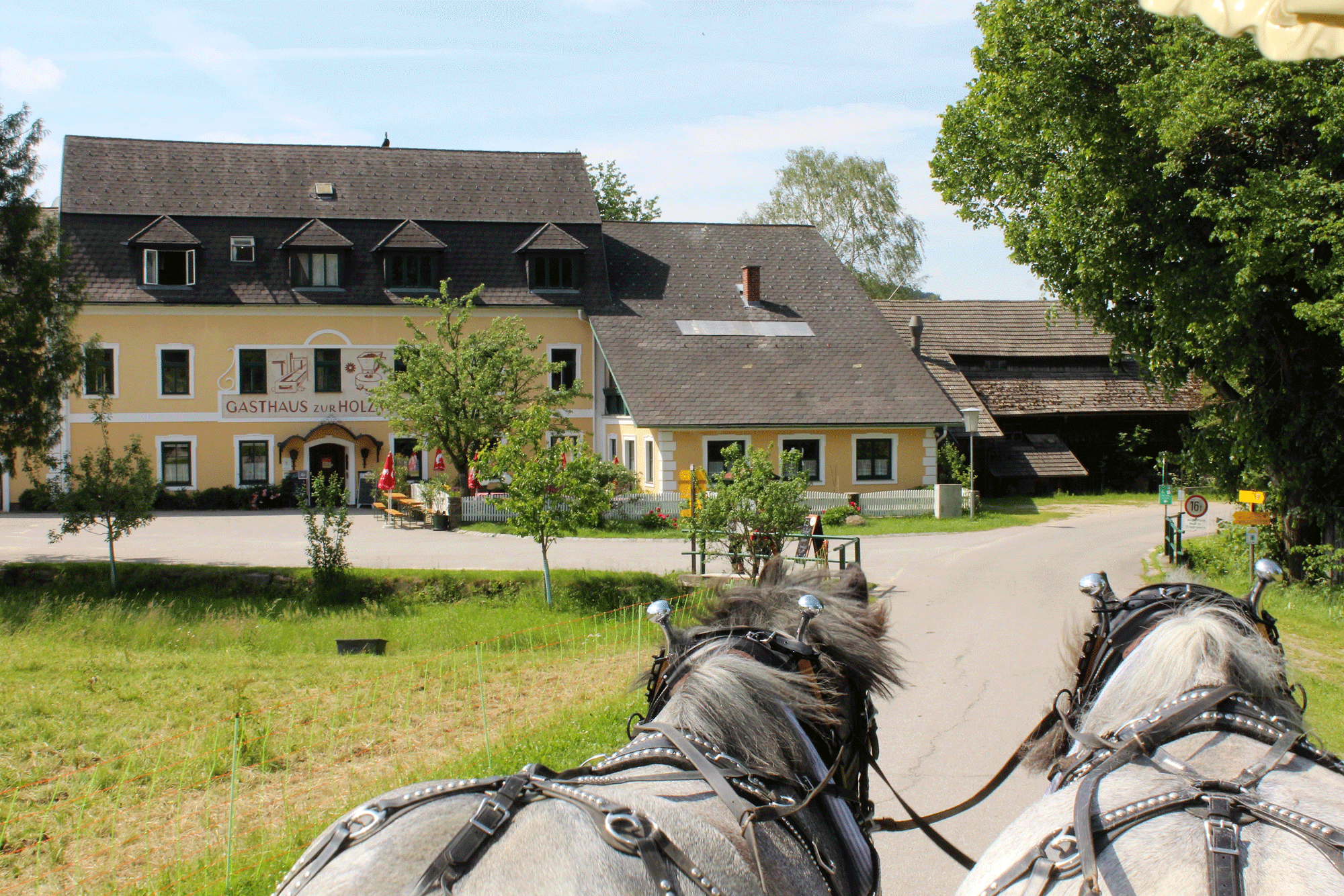 Gasthaus & Ponyhof Holzmühle