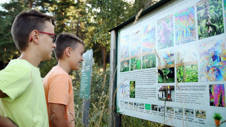 Zwei Jungen betrachten eine Informationstafel &uuml;ber Pflanzen in einem Waldgebiet.