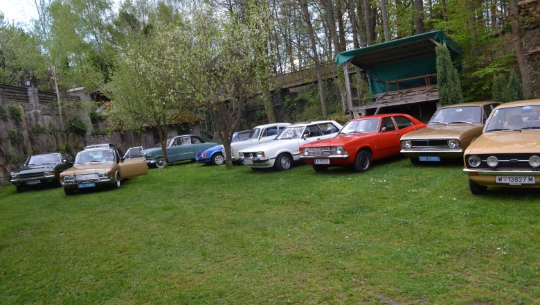 dsc_0038-2, &copy; Trinko