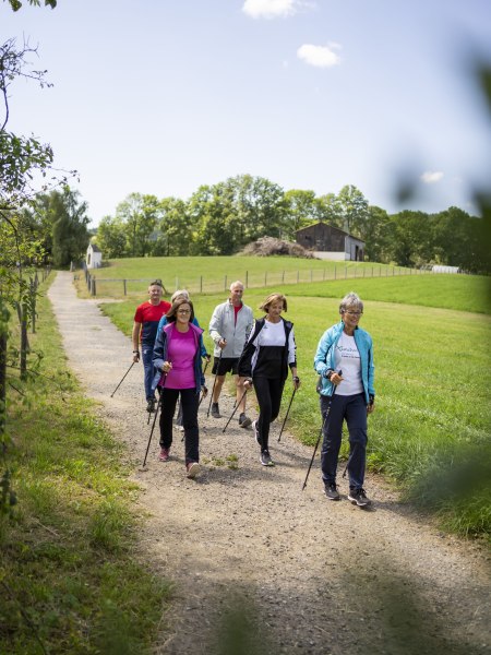 Nordic-Walking, © Waldviertel Tourismus, Robert Herbst
