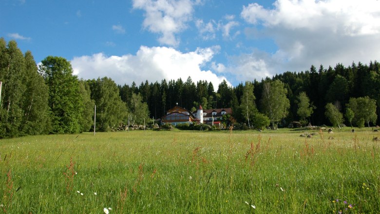 Maißen Waldpension Nebelstein, © Tourismusverein Moorbad Harbach, K. Haumer