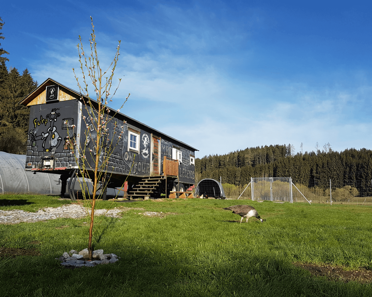 Tiny House Living Legends Aussenansicht im Sommer