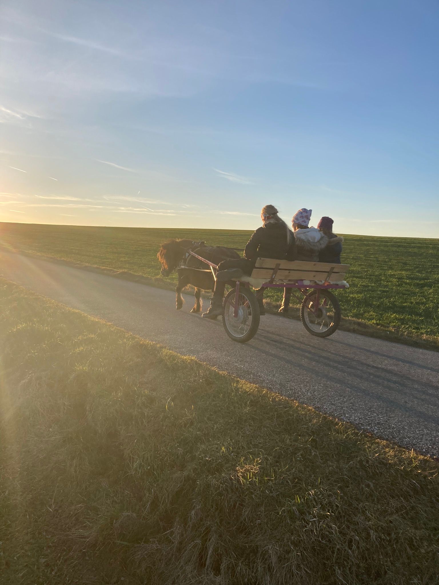Eine Kutsche mit zwei Personen und einem Pony auf einer Landstraße bei Sonnenuntergang.