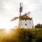 Die majest&auml;tische Windm&uuml;hle thront sanft im Licht der untergehenden Sonne und verleiht der Landschaft einen Hauch von Nostalgie. Umgeben von &uuml;ppigem Gr&uuml;n und bl&uuml;henden Pflanzen, l&auml;dt dieser Ort dazu ein, die Ruhe und Sch&ouml;nheit der Natur zu genie&szlig;en.