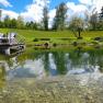 Schwimmteich im Mai mit Steg, &copy; Ferienhaus Angel, Fotograf Heidi Angel
