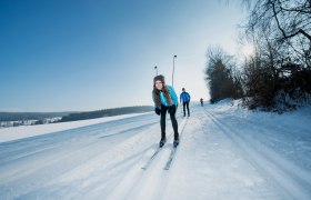 Personen beim Langlaufen auf einer verschneiten Strecke im Waldviertel.