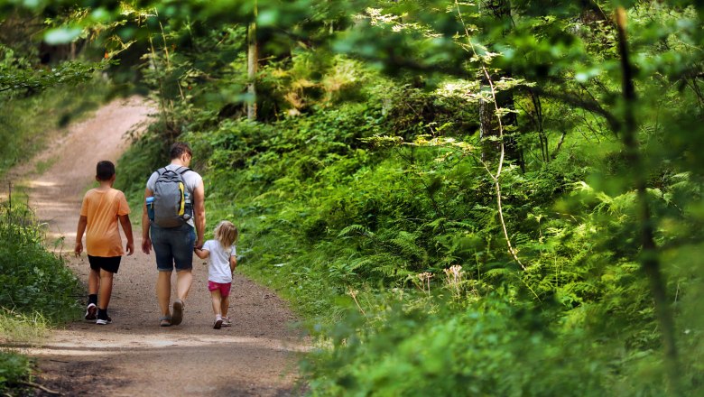 Eine Familie spaziert auf einem Waldweg, umgeben von &uuml;ppigem Gr&uuml;n.