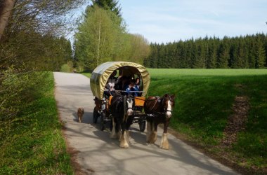 Kutschenfahrt mit Birgit, © Ponyhof Holzmühle Birgit Taxböck