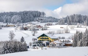 Winterlandschaft mit schneebedecktem Café Pension Kristall und umliegenden Häusern.