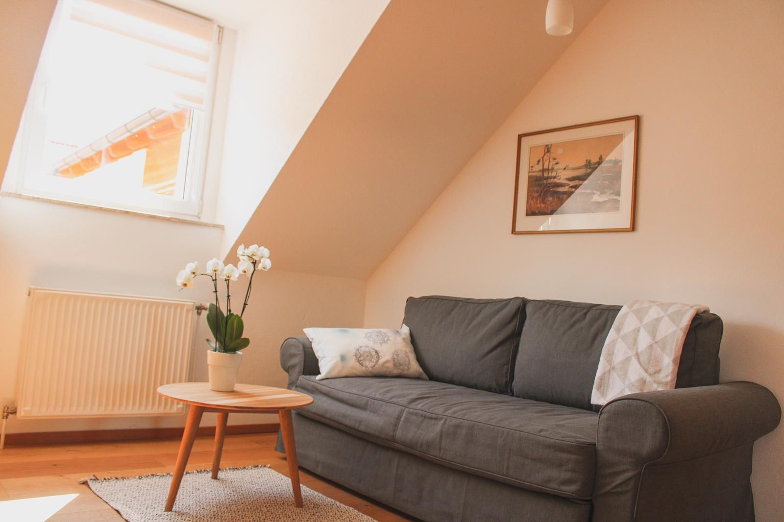 ferienwohnung-wohnzimmer