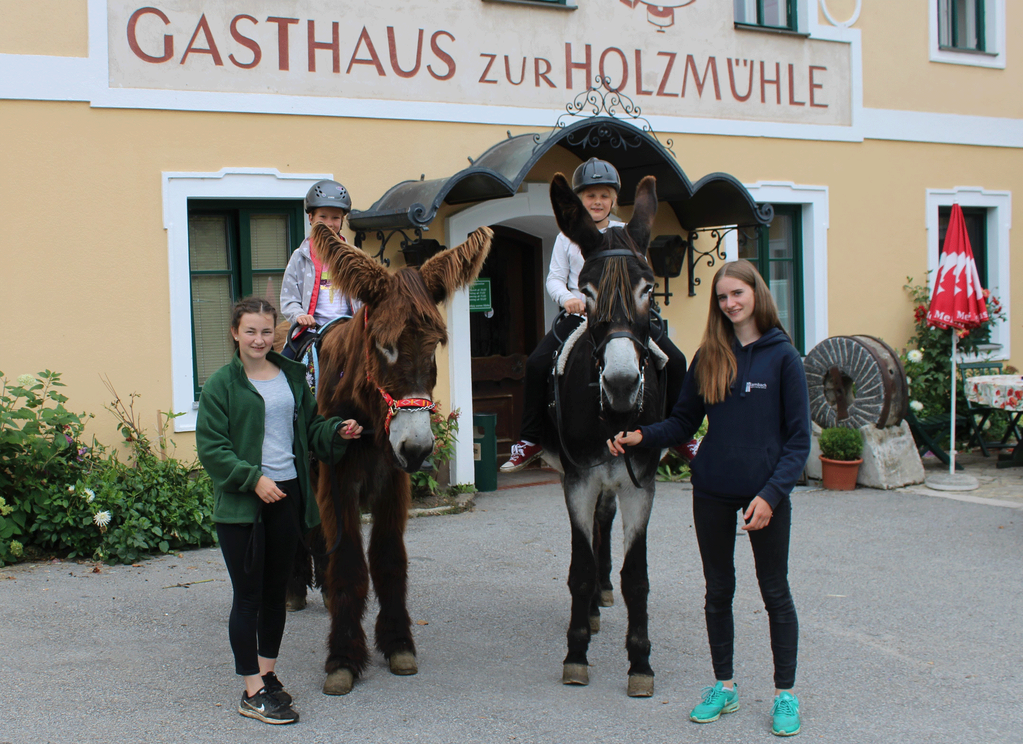 Gasthaus & Ponyhof Holzmühle