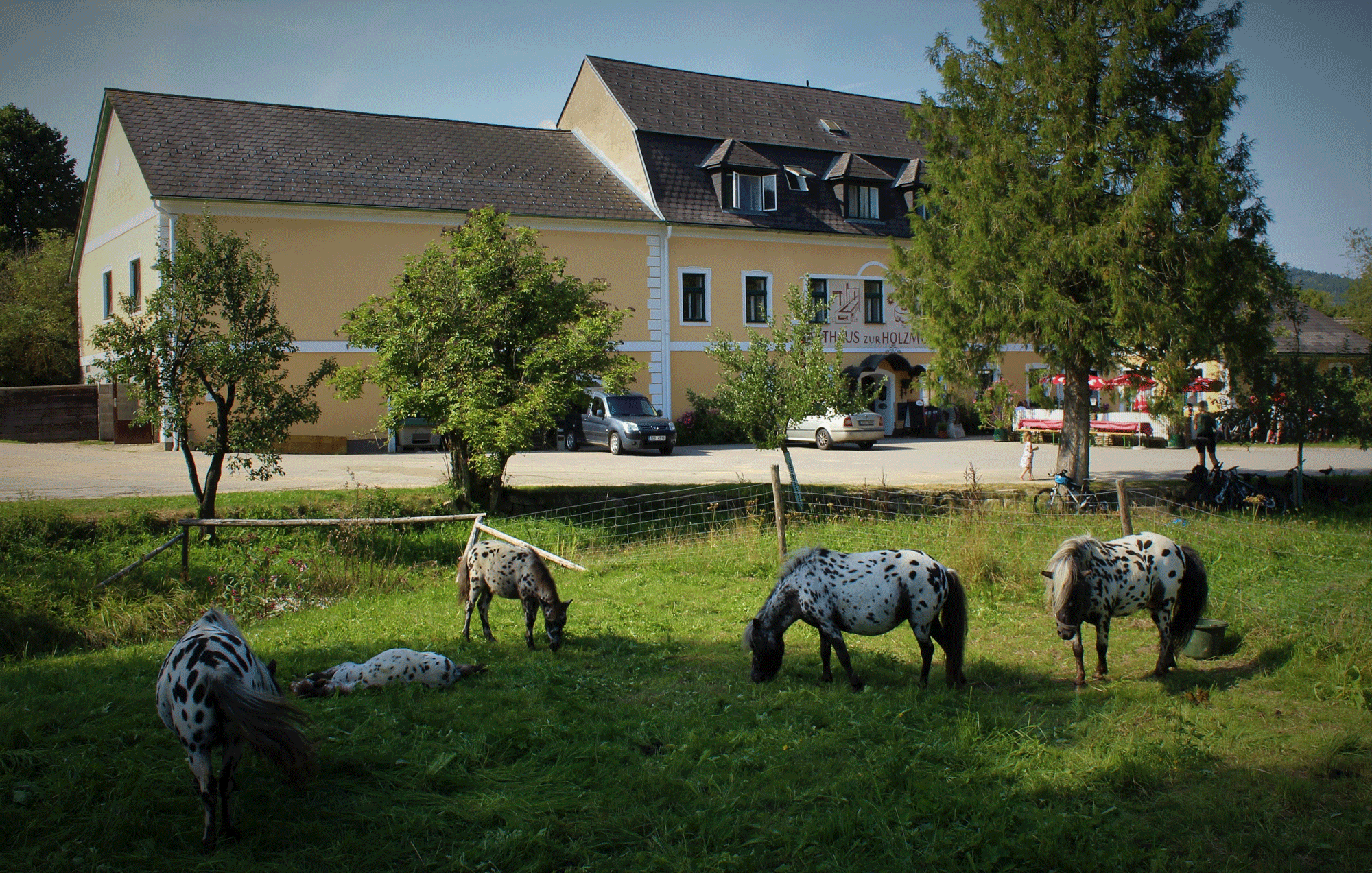 Gasthaus & Ponyhof Holzmühle