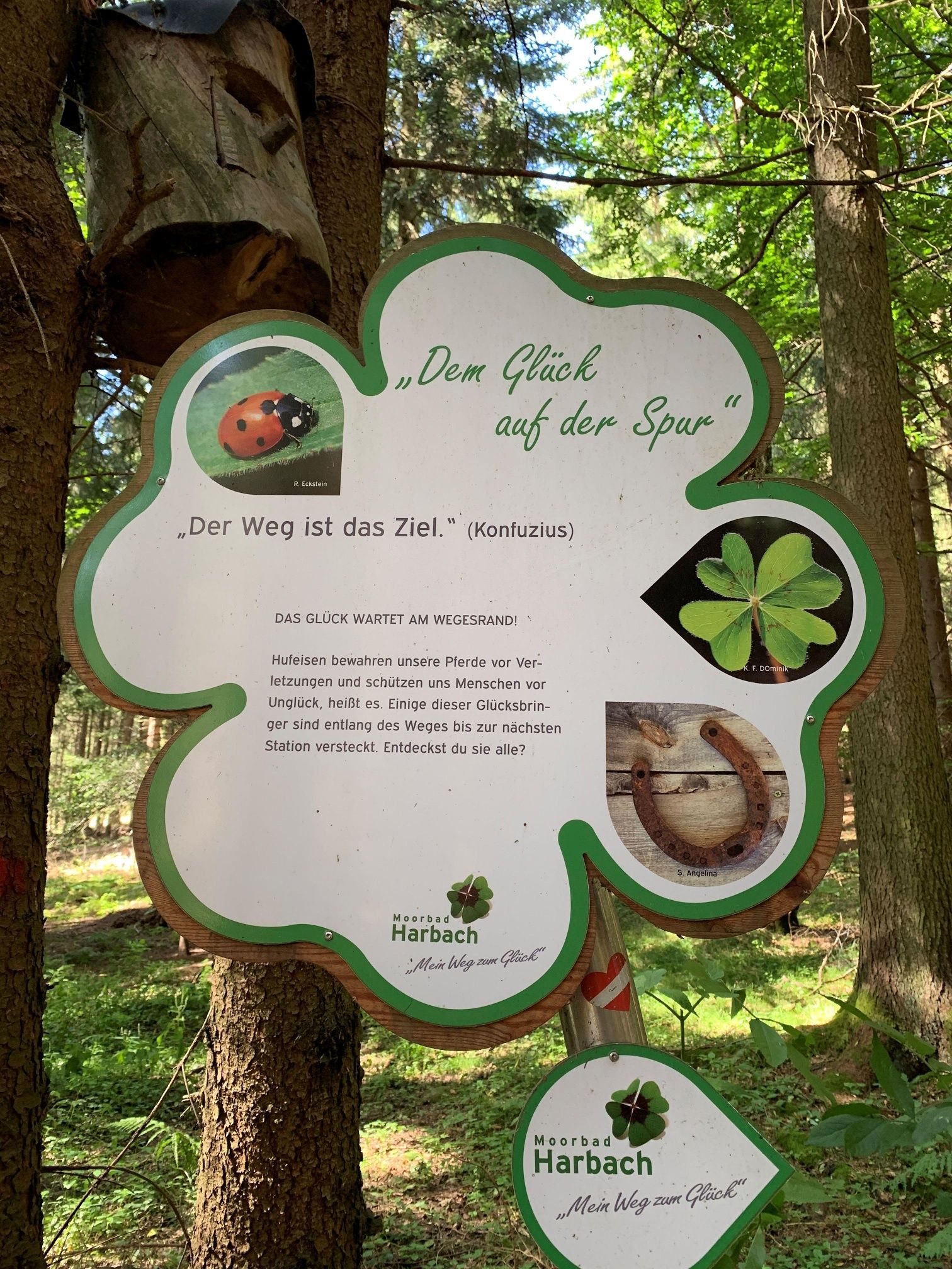 Mein Weg zum Glück