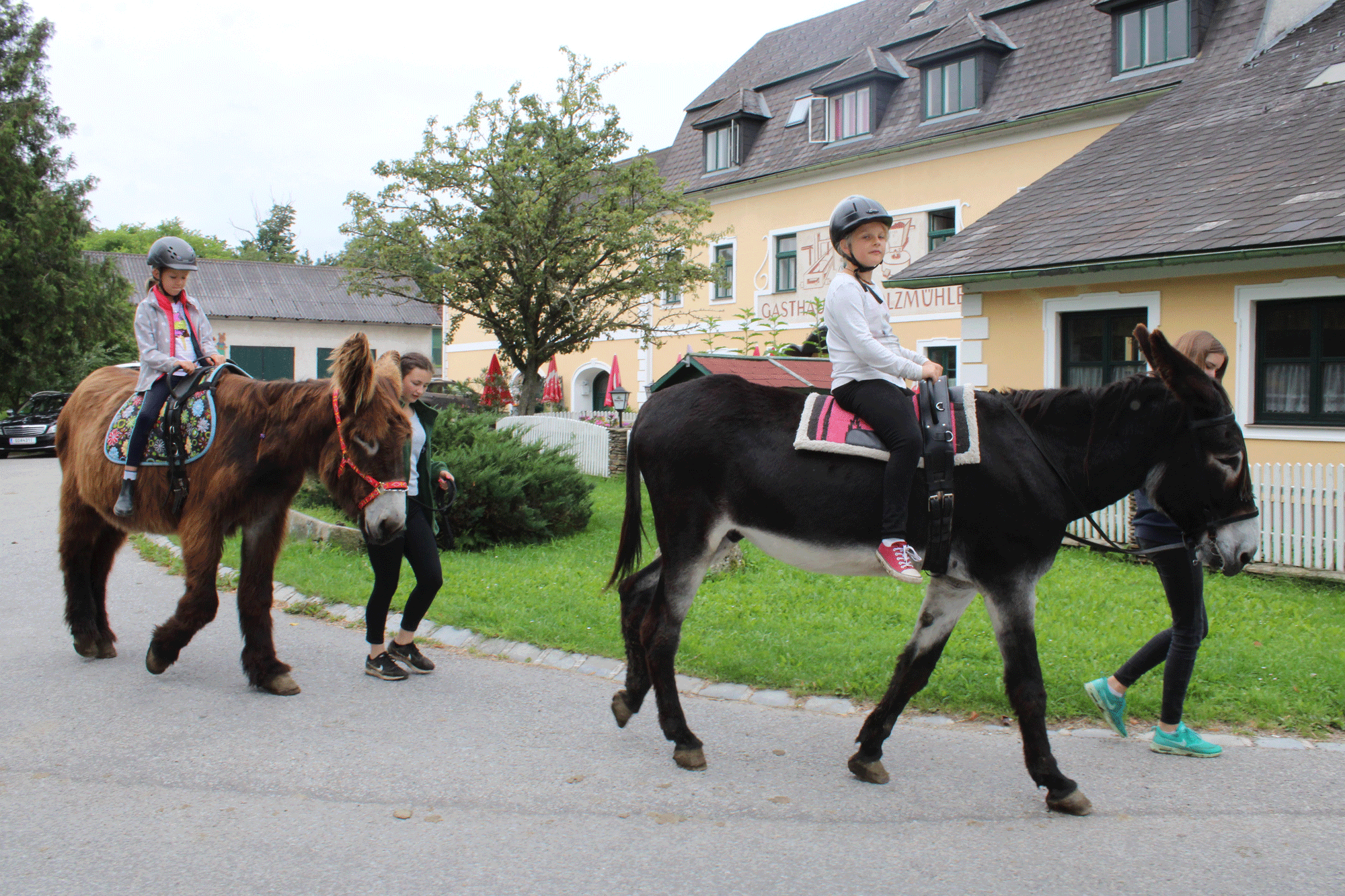 Gasthaus & Ponyhof Holzmühle