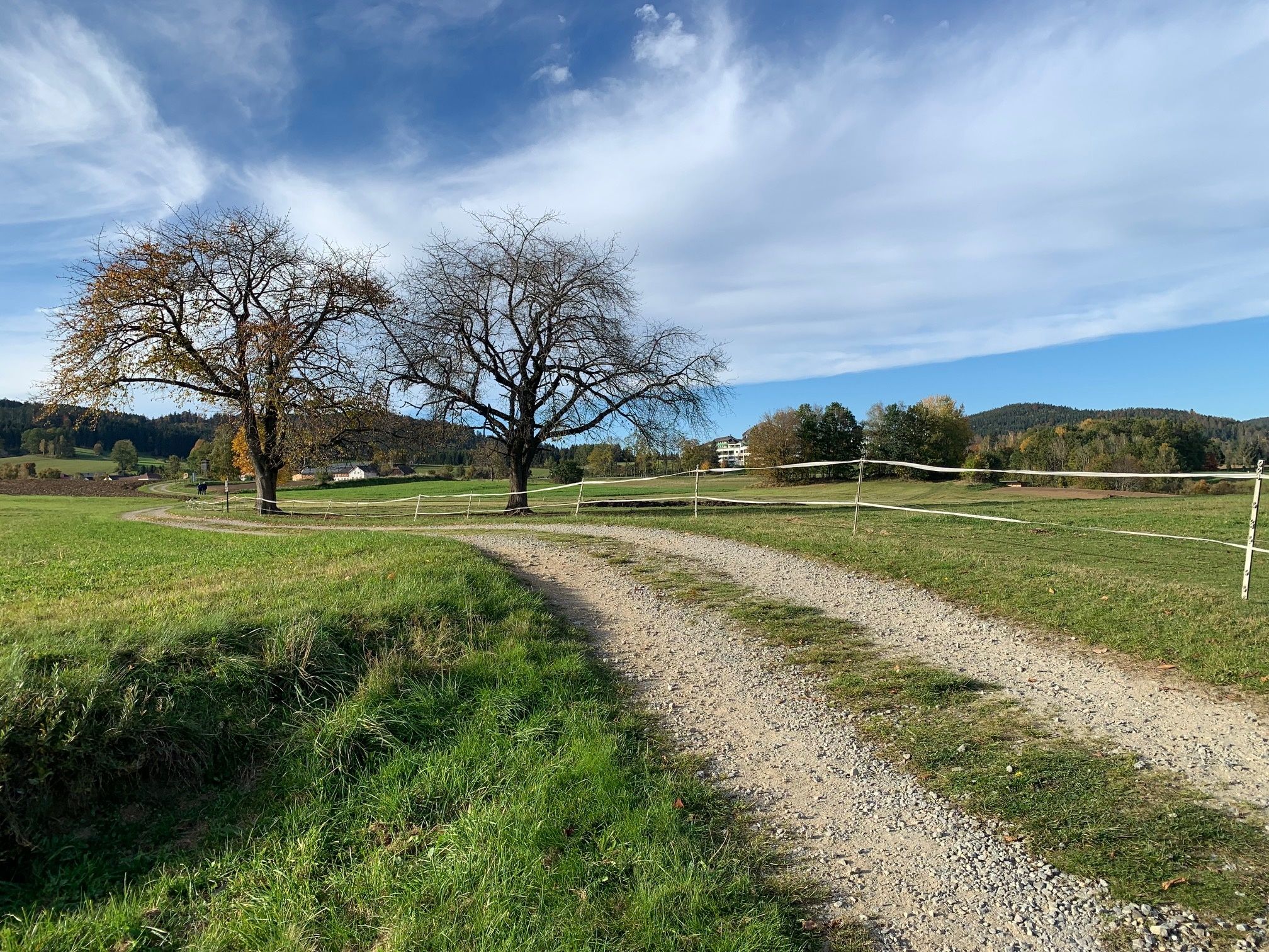 Hoidaweg