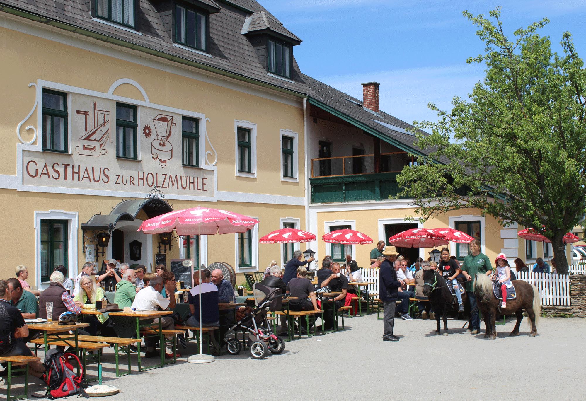 Gasthaus & Ponyhof Holzmühle