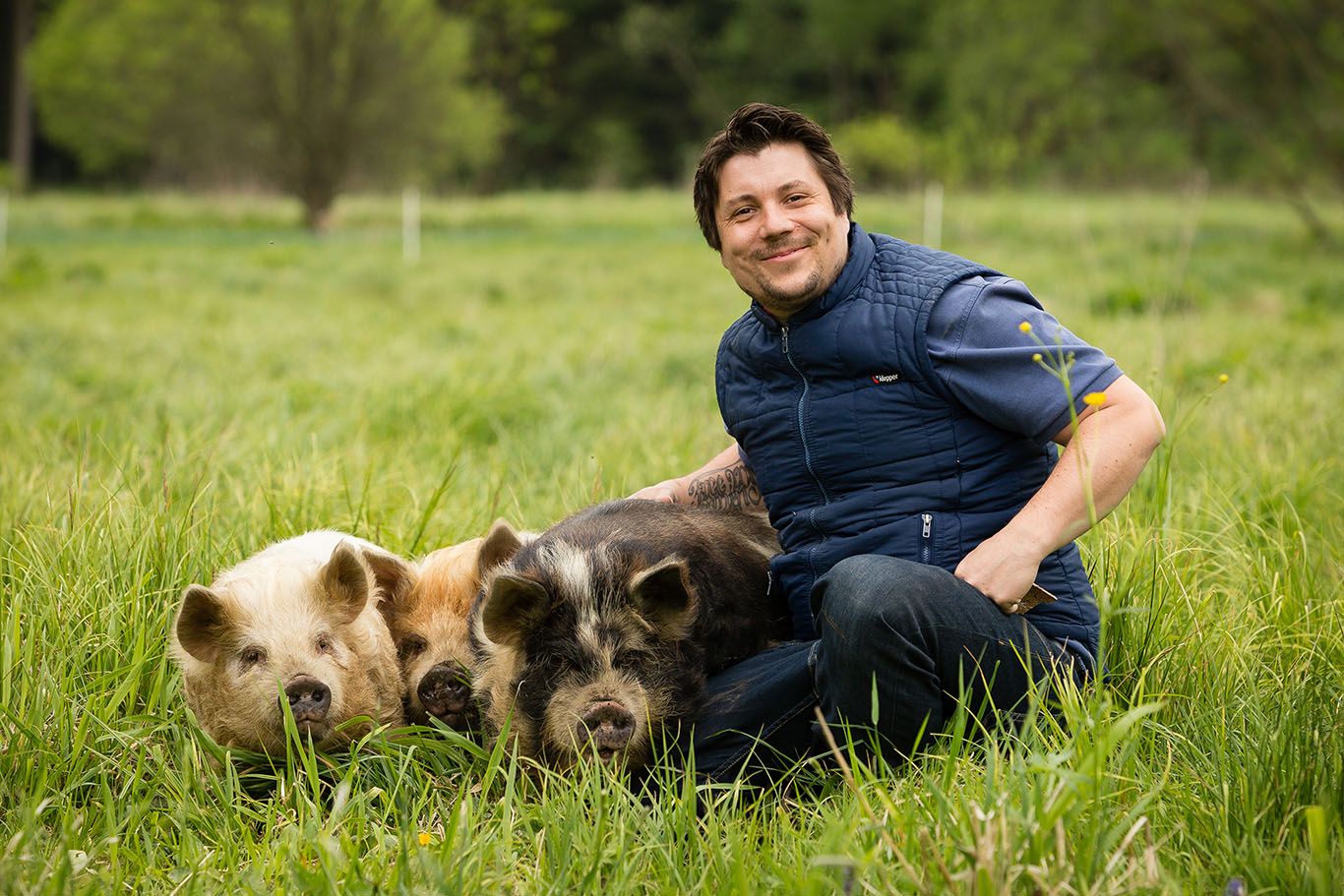 Christian und die Kune Kune Schweine in der Edermühle: Schweine streicheln hebt die Stimmung