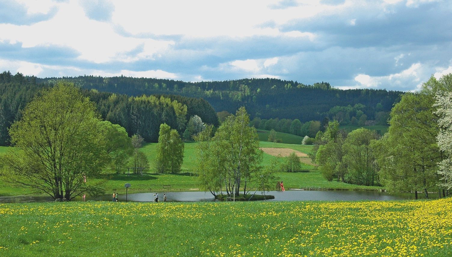 Naturbadeteich bei der Holzmühle