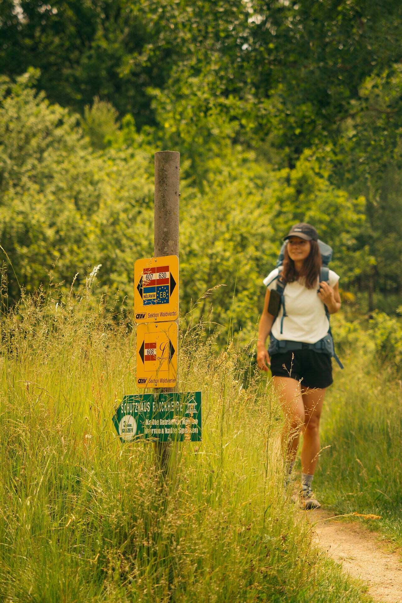 Eine Frau wandert gerade in der Blockheide, im Vordergrund sind verschiedene Wanderschilder sichtbar