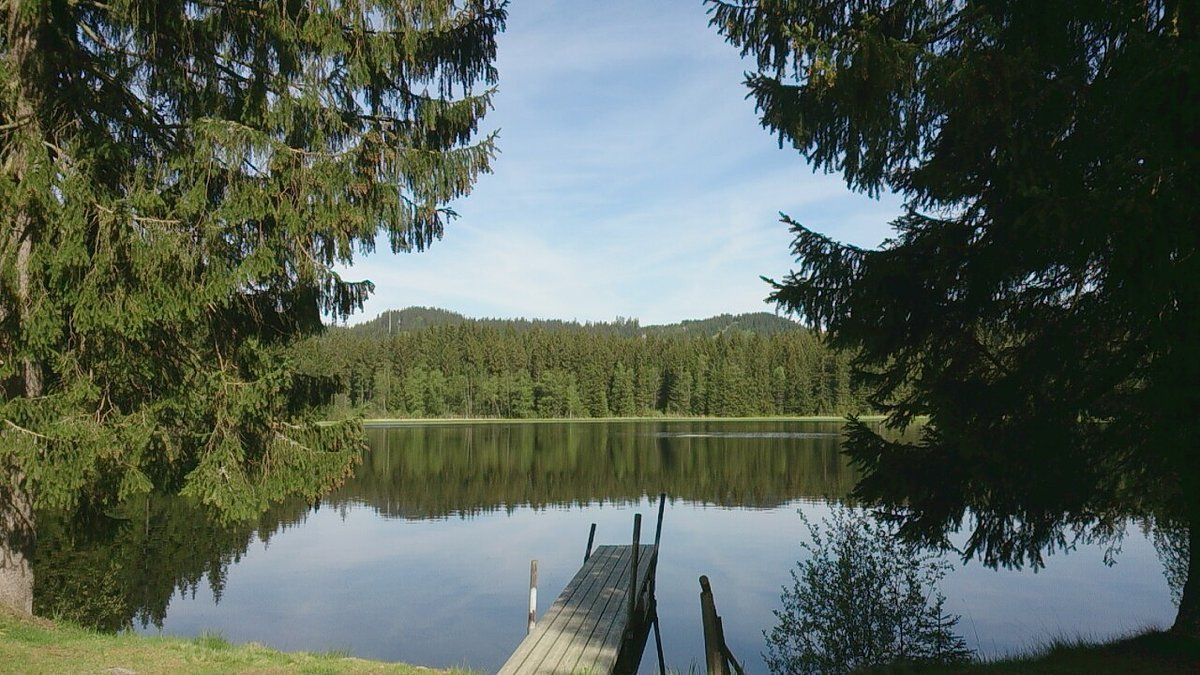 Stierhübelteich