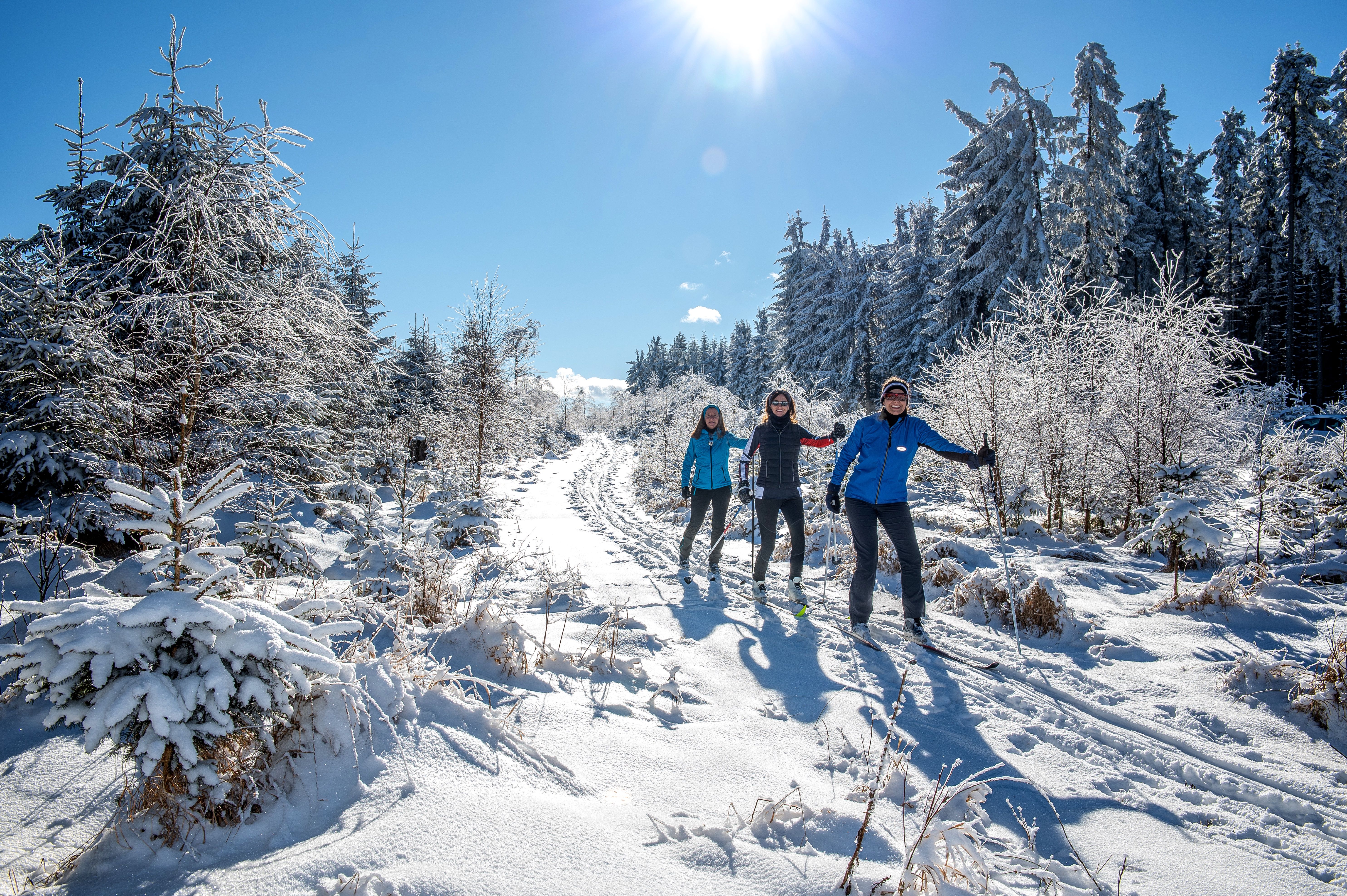 Personen beim Langlaufen auf einer verschneiten Strecke im Waldviertel.
