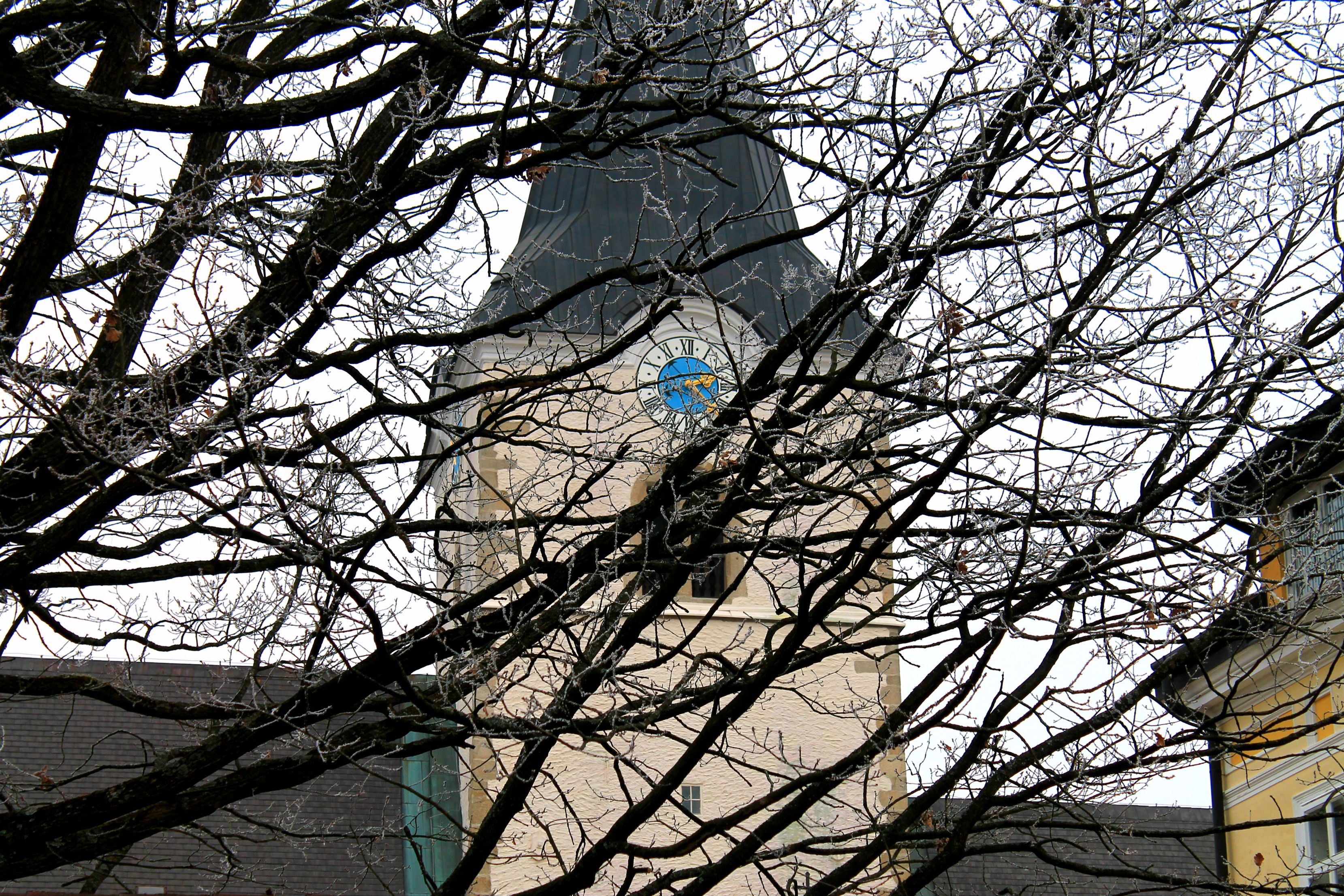 kirche_baum_winter_frost_turm-c-liza