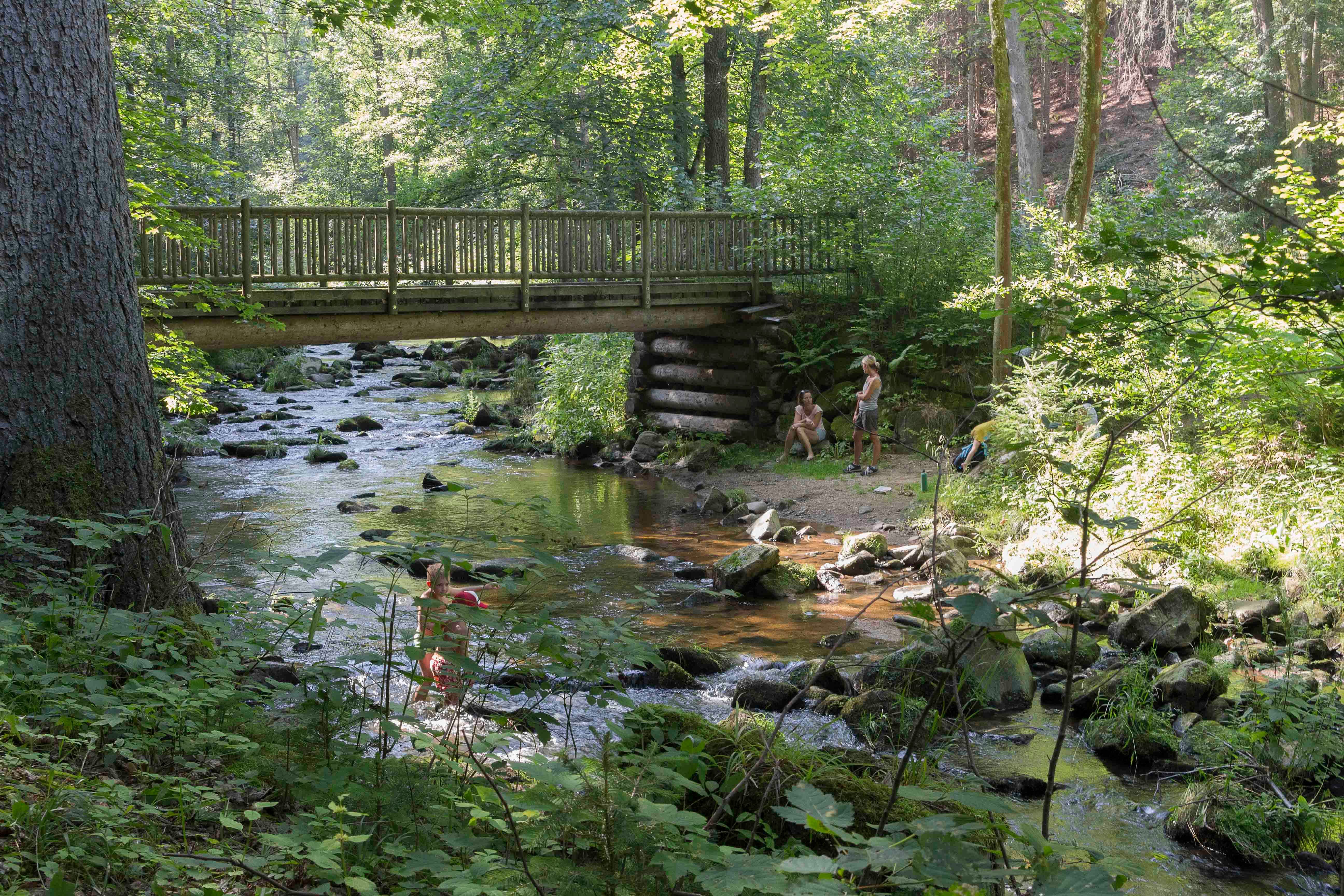 Kinder spielen an der Brücke im Gabrielental