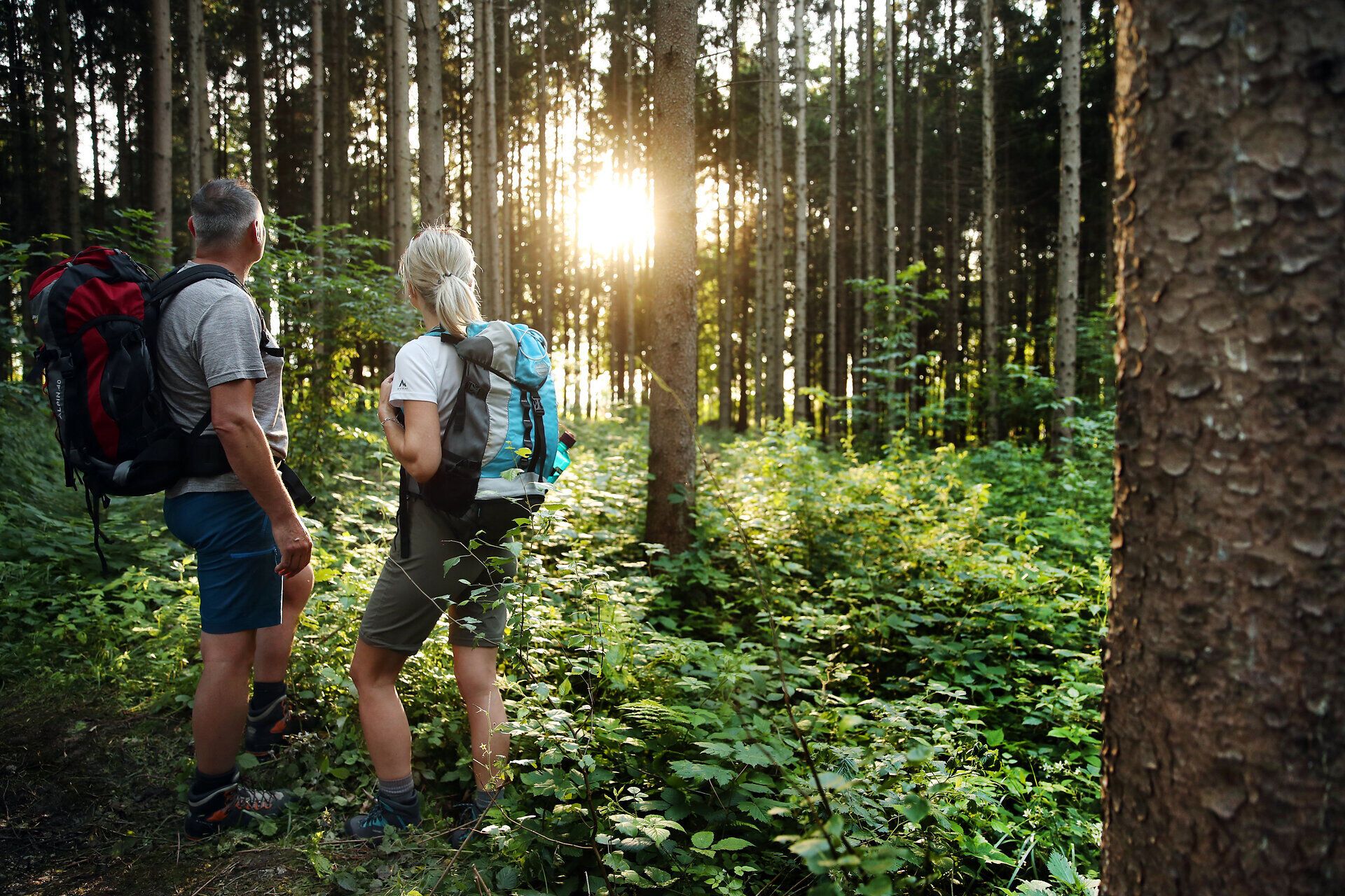 Pilgernde stehen im Wald mit Sonnenlicht zwischen den Bäumen.
