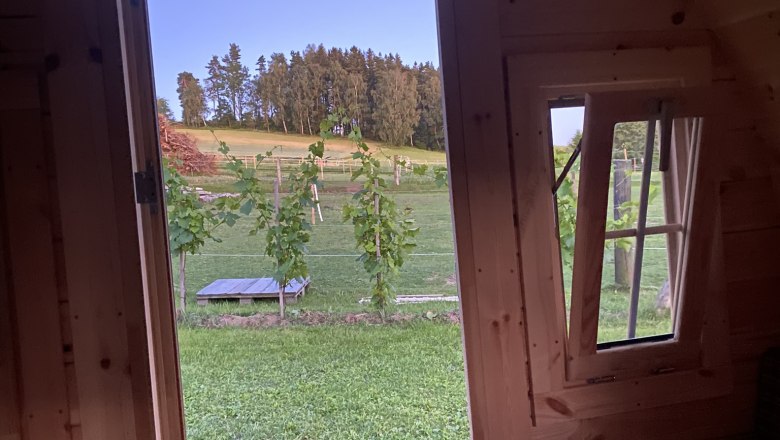 Sicht nach drau&szlig;en, &copy; Andreas Artner