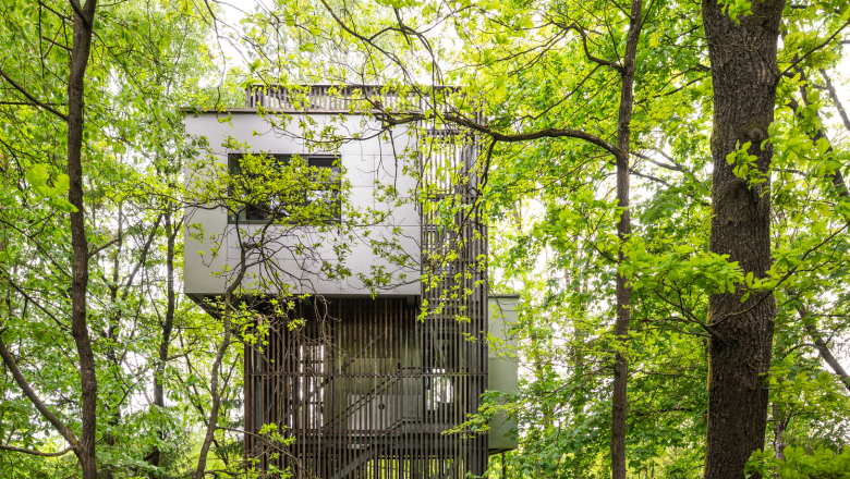 Modernes Baumhaus in einem dichten Wald, umgeben von gr&uuml;nen Bl&auml;ttern.