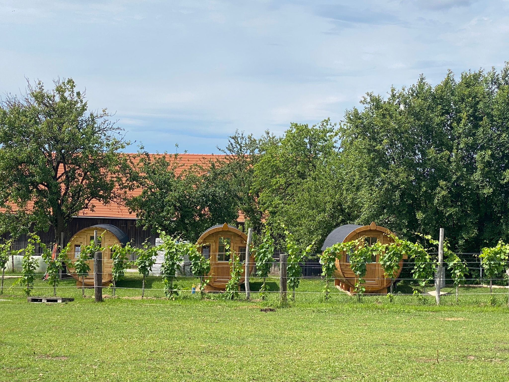 Drei runde Holzhütten in einem grünen Garten mit Bäumen und einem Gebäude im Hintergrund.
