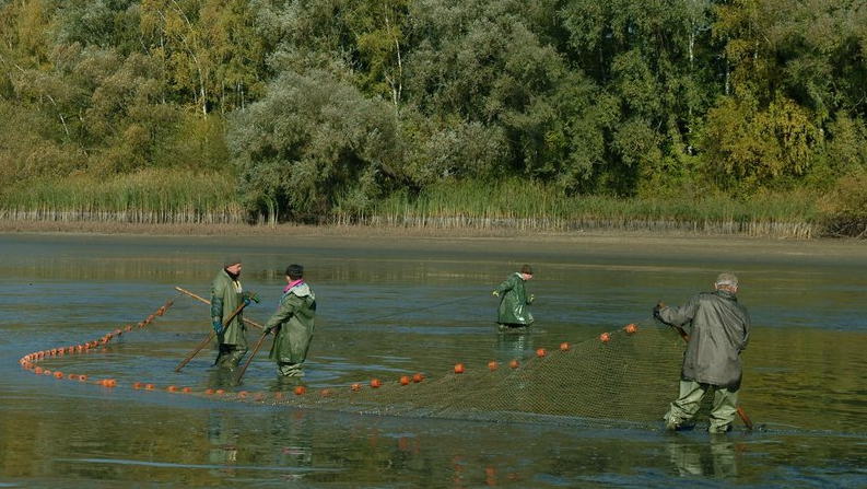 Fürstenberg Fisch