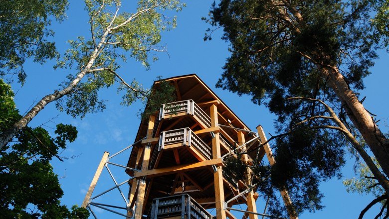 Holzaussichtsturm in einem Wald, umgeben von hohen B&auml;umen, unter blauem Himmel.