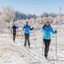 Drei Personen beim Langlaufen im Schnee mit verschneiten B&auml;umen im Hintergrund.