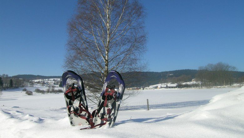 Schneeschuhwandern, © Xundheitswelt