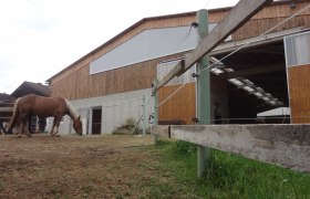 Pferde grasen vor einer Reithalle mit Holzw&auml;nden.