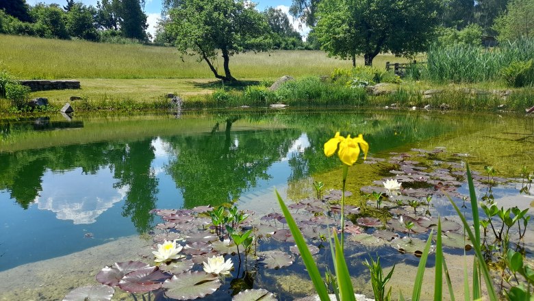 Schwimmteich, &copy; Ferienhaus Angel, Fotograf Heidi Angel