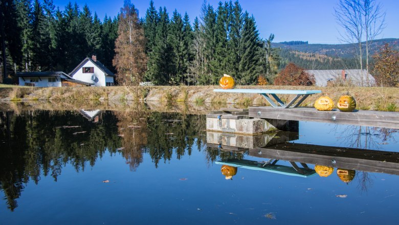 Hausansicht Herbst, &copy; Chalet-Nordwald, Fotograf Angela Hauler